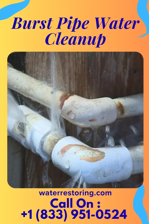 Burst Pipe Water Cleanup in Alma Center, WI