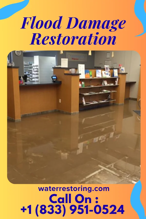 Flood Damage Restoration in Alma Center, WI