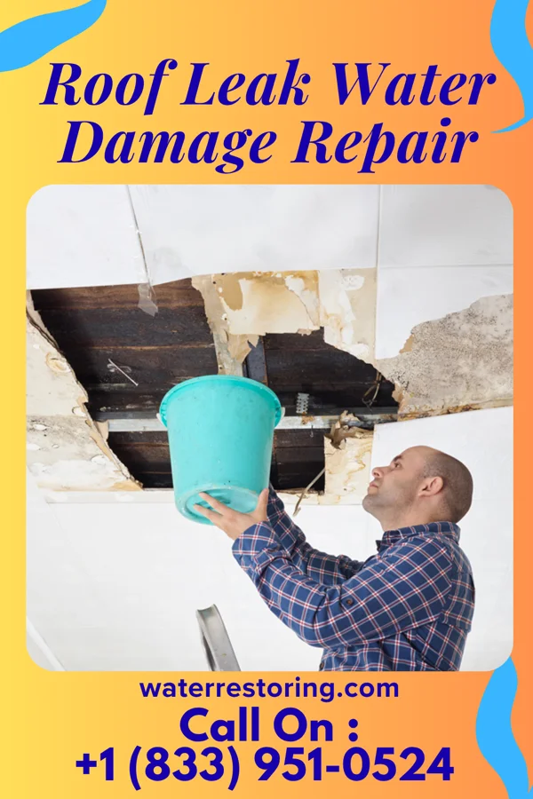 Roof Leak Water Damage Repair in Alma Center, WI