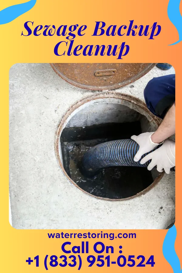 Sewage Backup Cleanup in Alma Center, WI