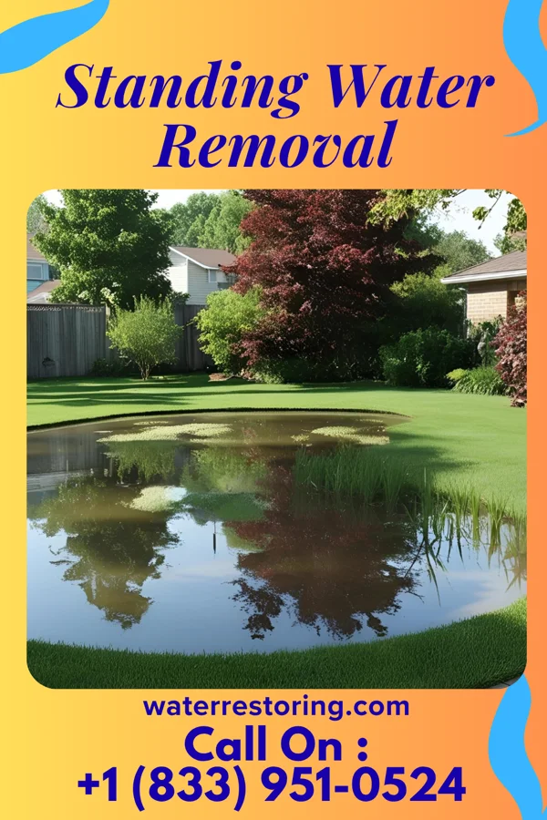 Standing Water Removal in Alma Center, WI